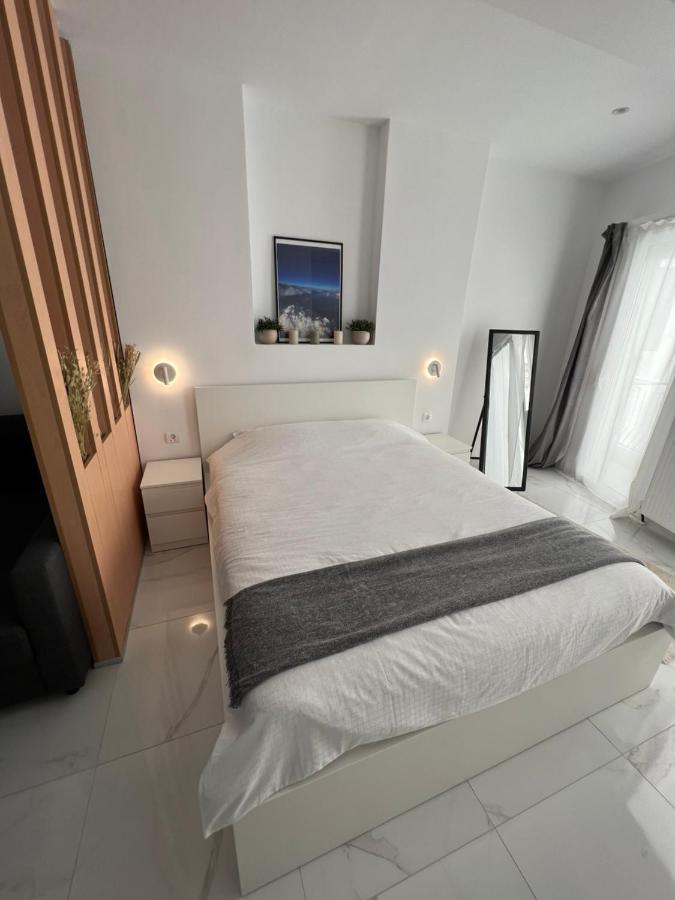 Modern 1-Bedroom Apartment In The City Center テッサロニキ エクステリア 写真